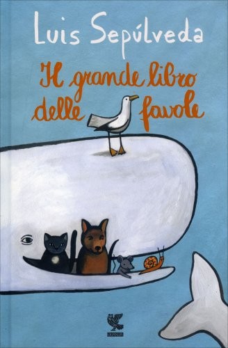 Libro grande - libro, il